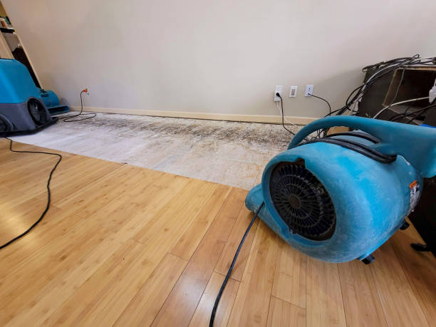 Professional Structural Drying technician working in Dupont, CO